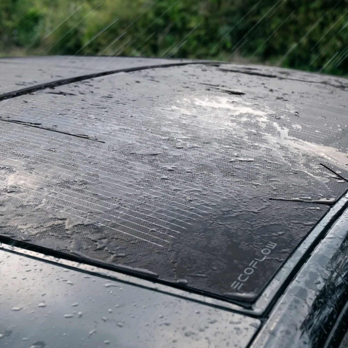 106-10011 - HeatGuard Solar Film (Für Model Y) (3)