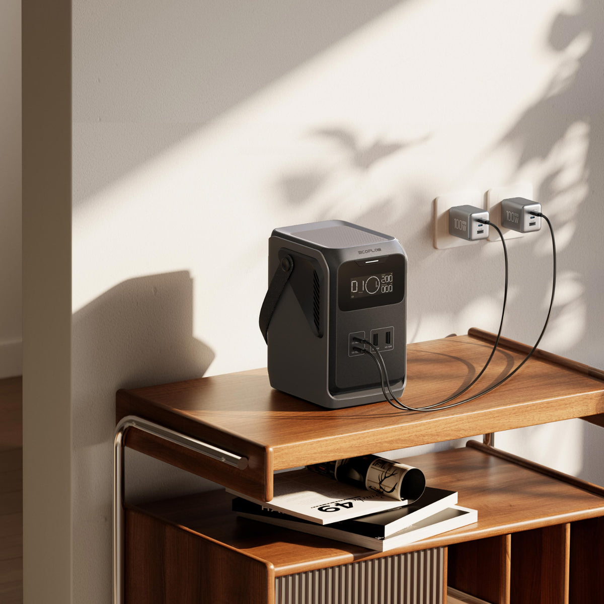 EcoFlow TRAIL 200 DC Portable Power Station (192 Wh)